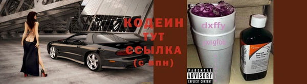 молекула духа Белокуриха