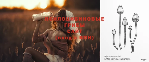 первитин Балахна