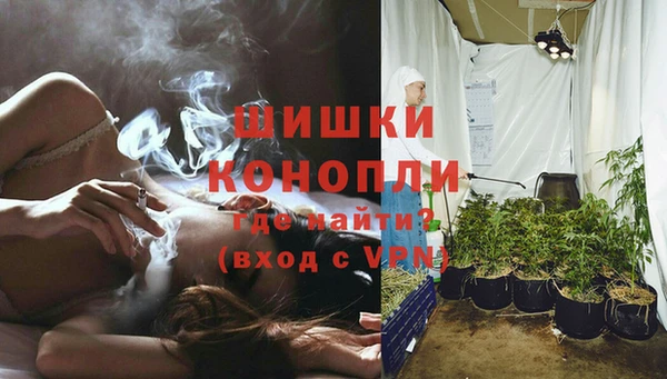 молекула духа Белокуриха