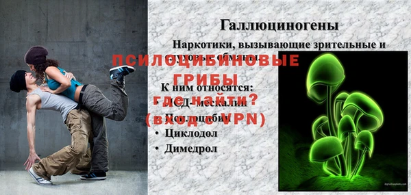 молекула духа Белокуриха
