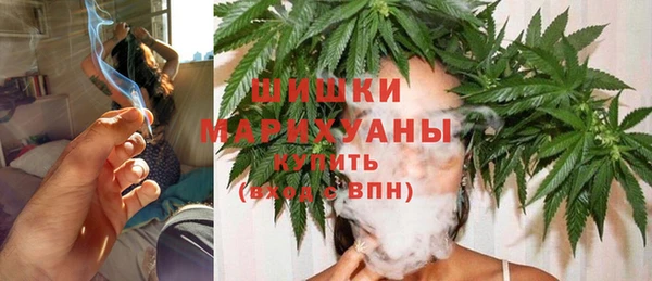 молекула духа Белокуриха