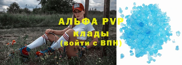 сатива Белоозёрский