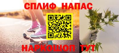 гидра Кандалакша