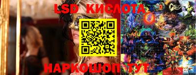 гидра Кандалакша