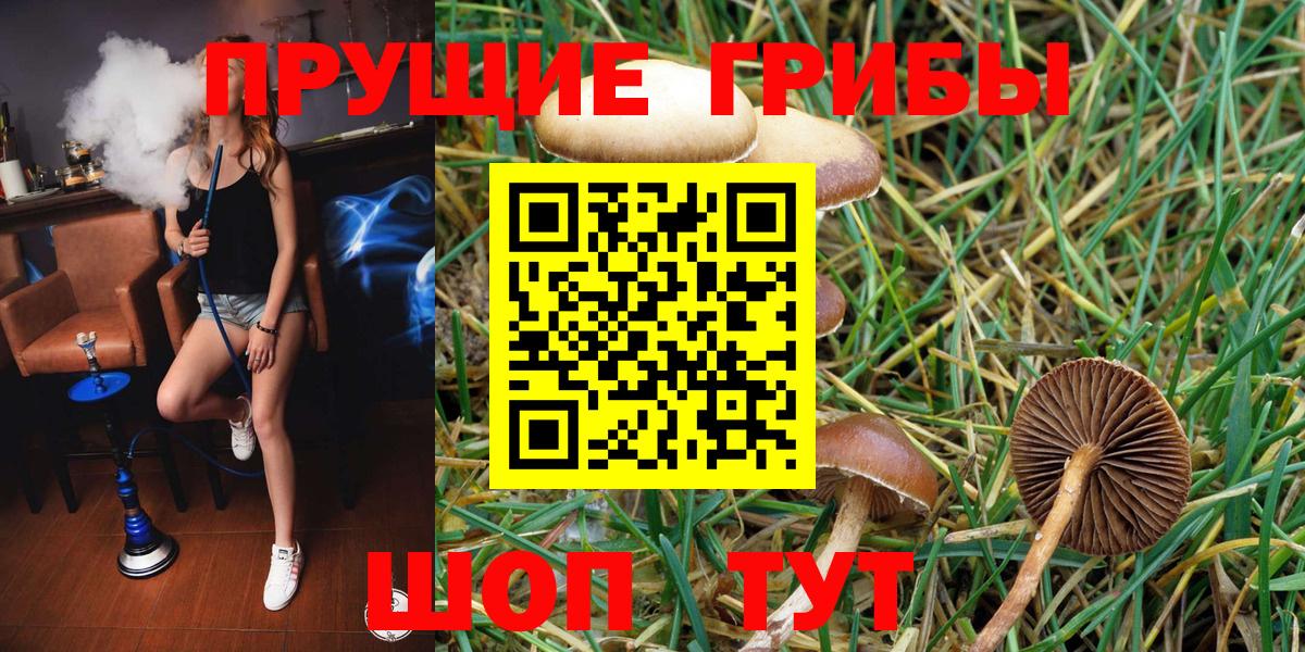 Галлюциногенные грибы мицелий  Вход с VPN  Галлюциногенные грибы мицелий  Улан-Удэ 