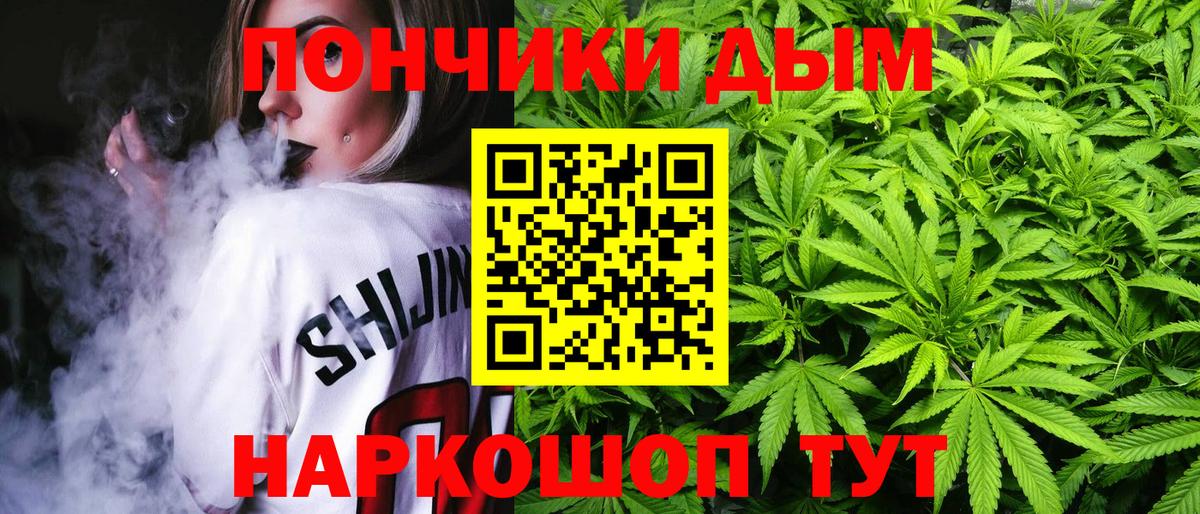 Бошки марихуана ГИДРОПОН  МАРИХУАНА конопля  Конопля SATIVA & INDICA  Улан-Удэ  Канабис AK-47  Вход с VPN 